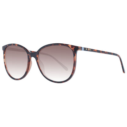 Brown Women Sunglasses